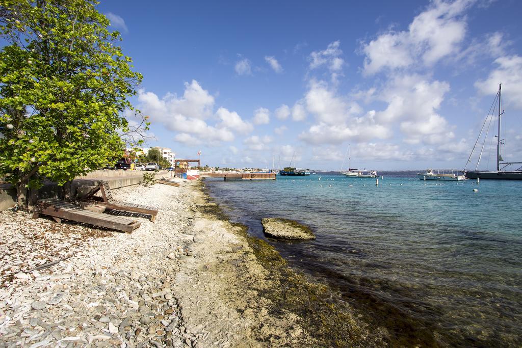 Beach House Sea You Soon Kralendijk  Exterior photo